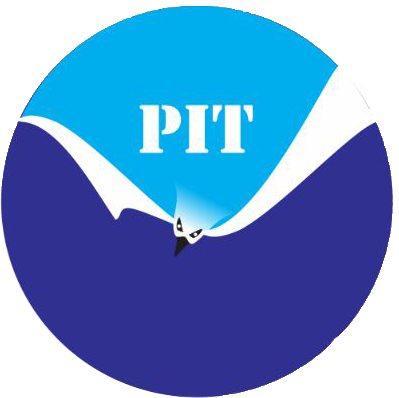 PACIFIC INSTITUTE OF TECHNOLOGY